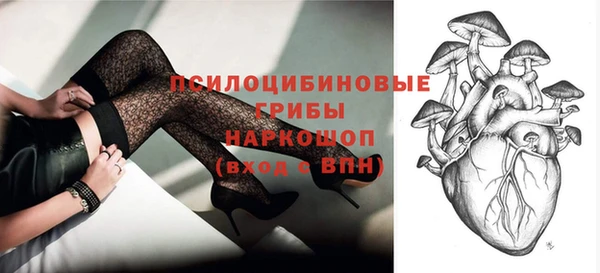 молекула духа Чегем