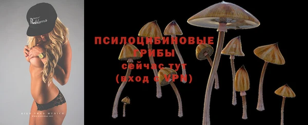 молекула духа Чегем