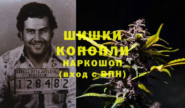 молекула духа Чегем