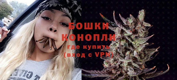 молекула духа Чегем