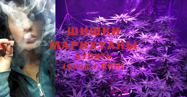 молекула духа Чегем